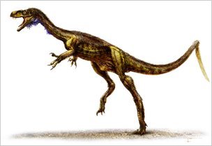 Eodromaeus
